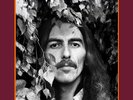 George Harrison The Vinyl Collection,0602557090277 New sealed Beatles