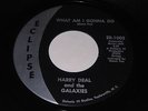 Harry Deal and the Galaxies: What Am I Gonna Do 45 - Northern Soul