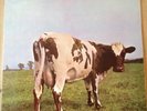 PINK FLOYD : ATOM HEART MOTHER : Vinyl in mint condition