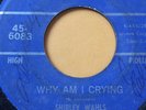 NORTHERN SOUL 45/ SHIRLEY WAHLS 