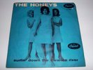 HONEYS SURFIN DOWN THE SWANEE RIVER RARE DANISH PS 45 SINGLE LISTEN