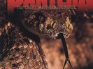 The Great Southern Trendkill by Pantera (Vinyl, Jul-2012, 2 Discs, Rhino...