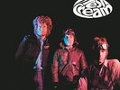 Cream - Fresh Cream
