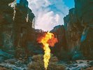 Bonobo - Migration
