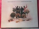 The Electric Prunes Just Good Old Rock And Roll White Label PROMO NMINT