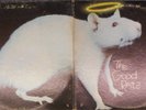 Good Rats, The  Self-Titled    Hard Rock; Garage; Psych  1969 Kapp Label