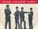 THE BEATLES She Loves You on Swan 45 With Picture Sleeve