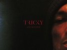 Tricky - Ununiform (Vinyl Used Like New)