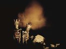 PEARL JAM RIOT ACT DOPPIO VINILE LP REMASTERED NUOVO SIGILLATO