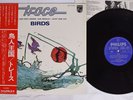TRACE BIRDS PHILIPS RJ-7164 Japan OBI Vinyl LP