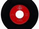 THE SCAVENGERS-IGL RECORDS-SUTHERLAND, IA 1966 GARAGE 45-SINGLE-RARE