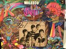 FLAT EARTH SOCIETY ORIG 1968 Waleeco LP Fleetwood Records Psych Monster RARE EX