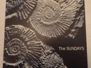 THE SUNDAYS,READING WRITING ARITHMETIC,1990 ROUGH TRADE UK 1ST PRESS A1 B1,EX++