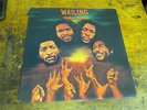 WAILING SOULS Wailing LP JAH GUIDANCE 80s reggae dub VG++ nice orig.