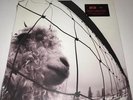 Pearl Jam - VS 180g LP Vinyl - Sealed - Free Shipping