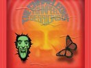 THE CHAMELEONS John Peel Sessions - 2LP / Vinyl + Download Code (Reissue 2014)