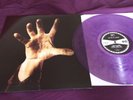 System Of A Down ?– System Of A Down RARE PURPLE GLITTER VINYL LP soad
