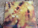 Vintage STEAMHAMMER Reflection LP 1969