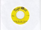 psych funk 45 FABULOUS TROUBADORES - Chester / Tribute to Jimi Hendrix *HEAR*