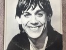 Iggy Pop Lust For Life Lp Vinyl First Pressing Bowie Stooges