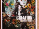 The Creation 7