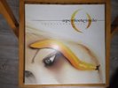 A Perfect Circle – Thirteenth Step LP 1. Press