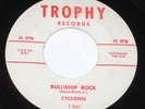 Bill Taylor & Cyclones 7