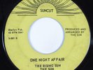 Funk/Sweet Soul 45 RISING SUN One Night Affair SUNCUT HEAR