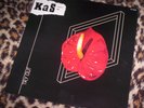 KAS PRODUCT   TRY OUT. Orig 1982 German vinyl LP. M.