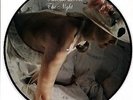 The Night - DORE VALERIE [LP]