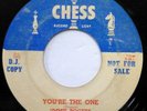 JIMMIE ROGERS 45 You're the one / Blues all day long CHESS (DJ) R&B  ws376