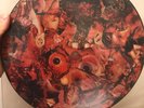 CARCASS Symphonies of Sickness Picture disc AUTOGRAPHED