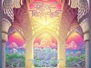 Ozric Tentacles - Technicians of the Sacred