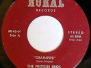 PROTEIN BROS.: Cholo / Drainpipe 45 (strong VG close to VG+, Rick Henn/Dennis D