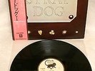 STRAY DOG 