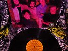 MINT ? 1967 ORIG ? The FALLEN ANGELS ? ROOM AT THE TOP Psych Garage 