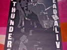 JOHNNY THUNDERS POSTER   DEAD OR ALIVE. 1978 UK Promo. New York Dolls. NM.