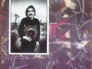 Captain Beefheart & Magic Band ?Ice Cream For Crow LP 1982 German EX+ plays NM
