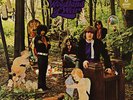 Little Boy Blues - In The Woodland Of Weir (Vinyl Used Like New)