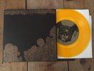 PAGENINETYNINE CIRCLE TAKES THE SQUARE document #13 EP LTD ED GOLD RARE PG.99