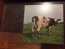 Pink Floyd Atom Heart Mother LP Vinyl