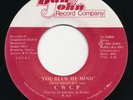 CWCP You Blew My Mind DAN RYAN Rare Illinois Modern Soul 45 Obscure HEAR