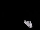 Bob Moses - Days Gone By (Black Vinyl) Vinyl 2LP NEU 09533493