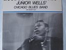 Junior Wells Harmonica Hoodoo Man Blues Buddy Guy Delmark DS612 Great Shape
