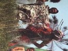 Lucio Battisti. Il Nostro Caro Angelo LP Vinile Originale
