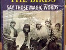 BIRDS Say Those Magic Words LP VINYL RON WOOD FACES ROLLING STONES WAVY JACKET