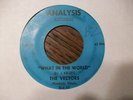 THE VECTORS What In The World ANALYSIS 4323 45 Joe Kelley SHADOWS OF kNIGHT *