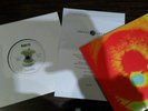 Rare beady eye pretty green 7