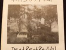 HORNSEY AT WAR - Dead Beat Revival EP.  PUNK  KBD 1979 - No. 498 - vg+/vg++