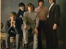 THEM/ VAN MORRISON Angry Young Them 1965 MONO original lp beat/garage